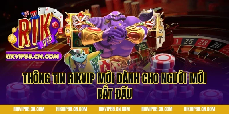 Thông Tin Rikvip Mới dành cho người mới bắt đầu